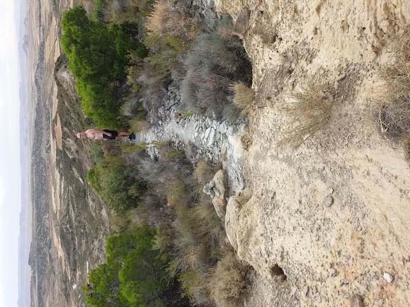 castillo-de-penaflor