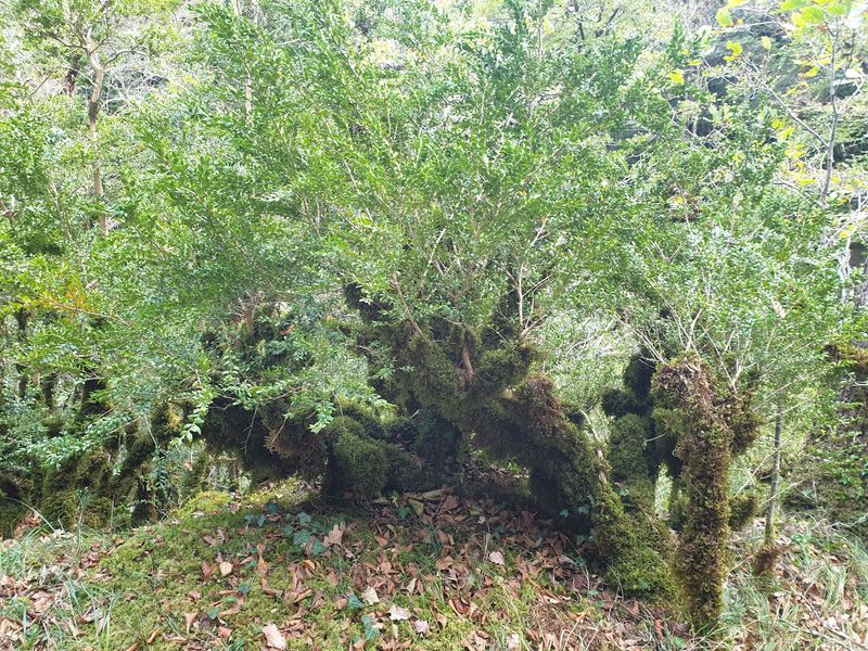 les-grottes-d-eaux-chaudes_4