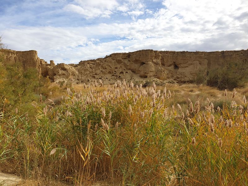 rrtour-de-castillo-de-penaflor_9