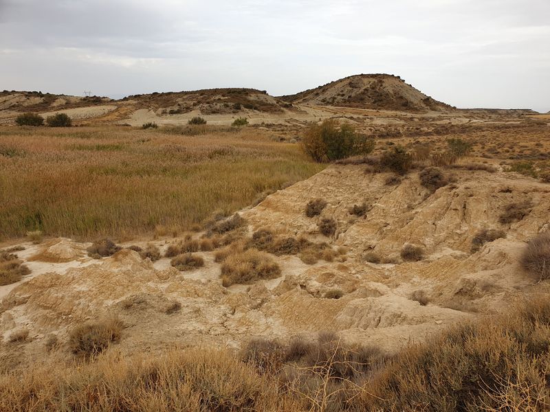 la-estaca-nasa-baja-et-tripa-azul