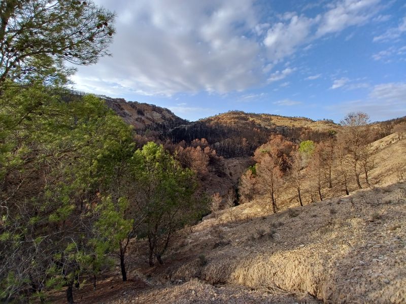 ermitage-virgen-del-yugo_6