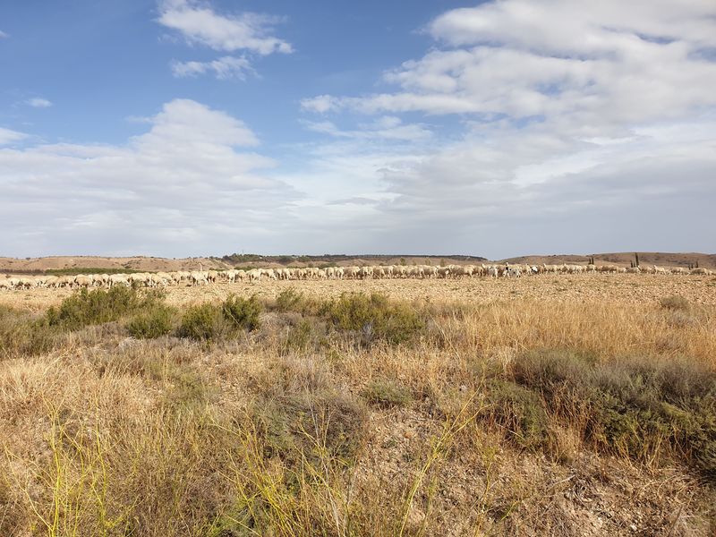 ermitage-virgen-del-yugo_5