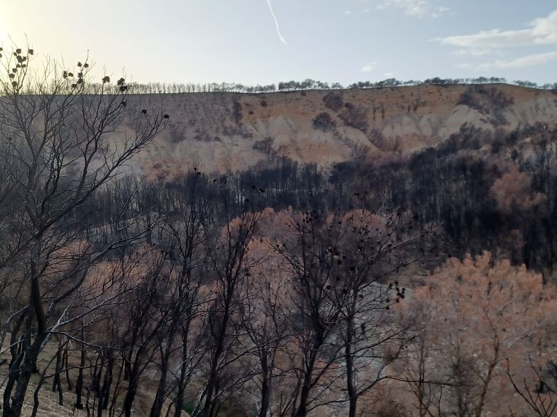 ermitage-virgen-del-yugo_5