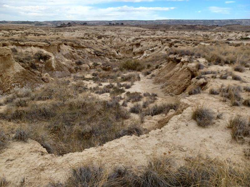 vers-le-castillo-de-penaflor
