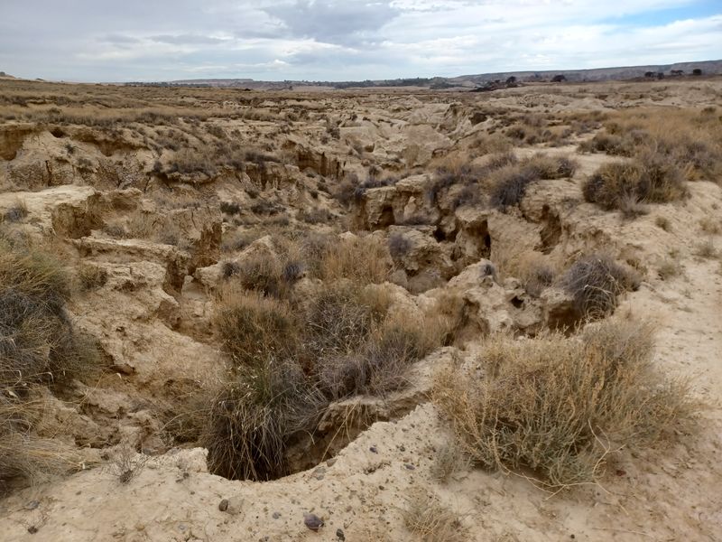 vers-le-castillo-de-penaflor_2