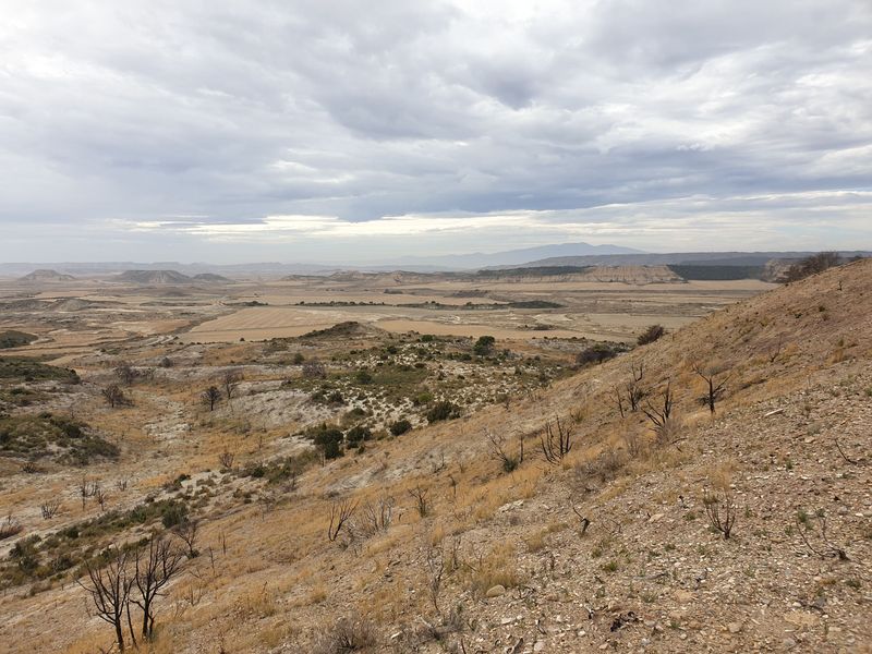 castillo-de-penaflor_3