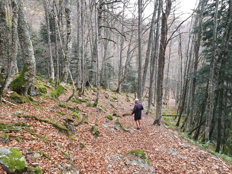 le-lac-d-isabe-et-le-pic-de-sesques