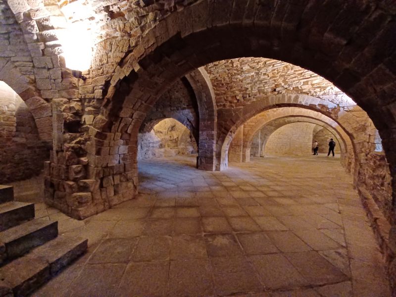 monastere-saint-jean-de-la-pena_17