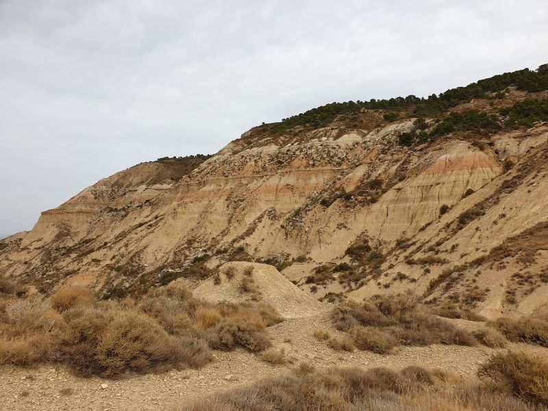 la-estaca-nasa-baja-et-tripa-azul_2