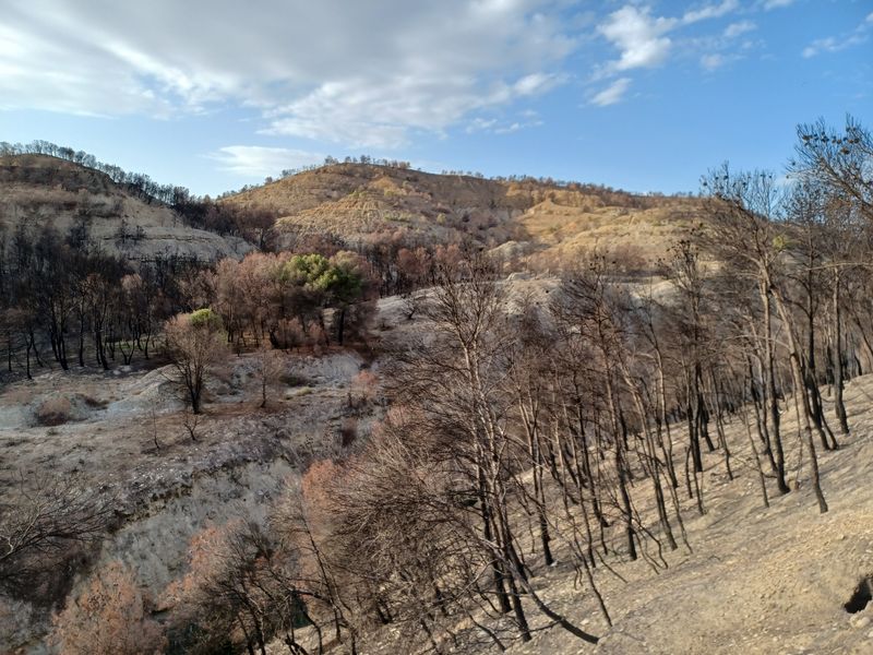 ermitage-virgen-del-yugo_4