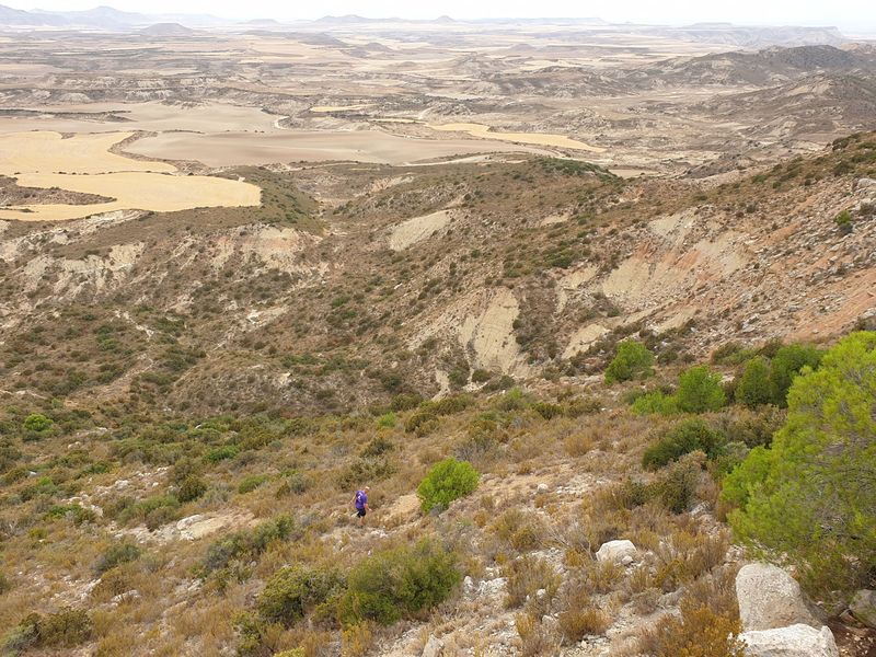 la-estaca-nasa-baja-et-tripa-azul_4